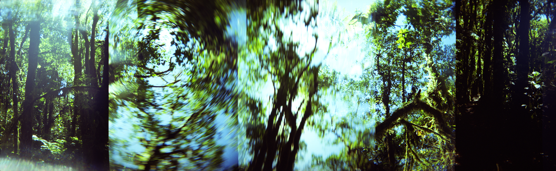 Monteverde